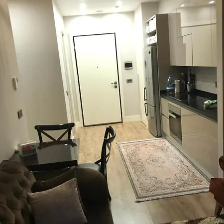Apartment Metropol
